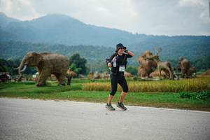 BIB: 
                            <button type="button" onclick="openModal(22434796)" class="btn btn-primary btn-sm float-right btn-popup" data-toggle="modal" data-target=".modal-high-quality">
                        <i class="fas fa-shopping-cart"></i> Add to Cart
                    </button>
                                            <button type="button" onclick="isThisMe(22434796, true)" class="btn btn-success btn-sm float-right btn-popup btn-isme hidden" data-toggle="tooltip" data-placement="bottom" title="นี่คือรูปของคุณใช่ไหม คลิกที่นี่เพื่อเอาเข้าอัลบั้ม">
                        <i class="fas fa-plus"></i> Add to album
                    </button>
                    <button type="button" onclick="isThisMe(22434796, false)" class="btn btn-warning btn-sm float-right btn-popup btn-isnotme hidden">
                        <i class="fas fa-ban"></i> Remove from album
                    </button>